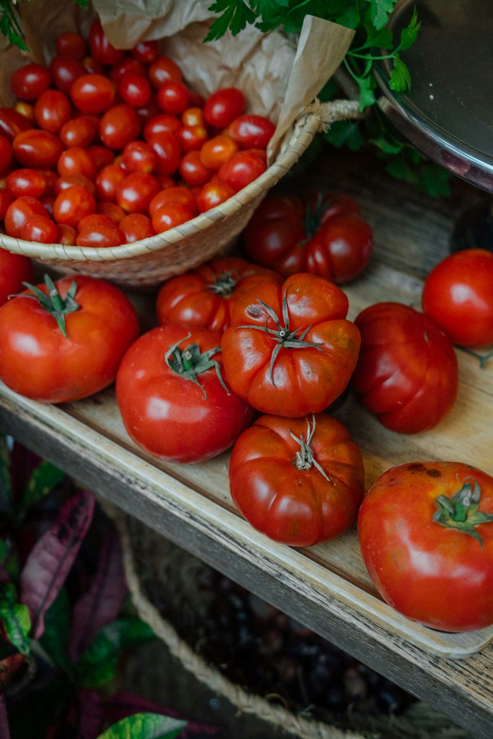Pomodori freschi in cesto di vimini e vassoio di legno.